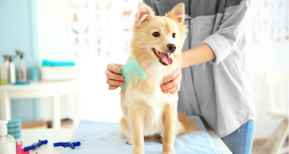 Pet Health Care and Grooming Market