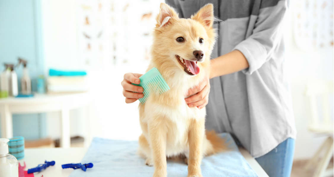 Pet Health Care and Grooming Market'