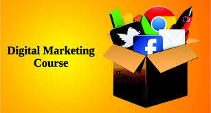 Digital Marketing Courses Market to See Massive Growth by 20'