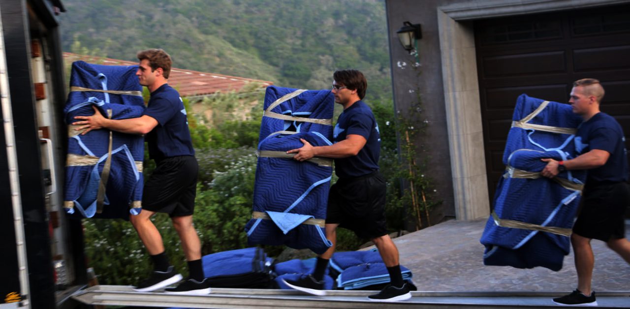 Yard Cleanup Jersey City NJ Logo