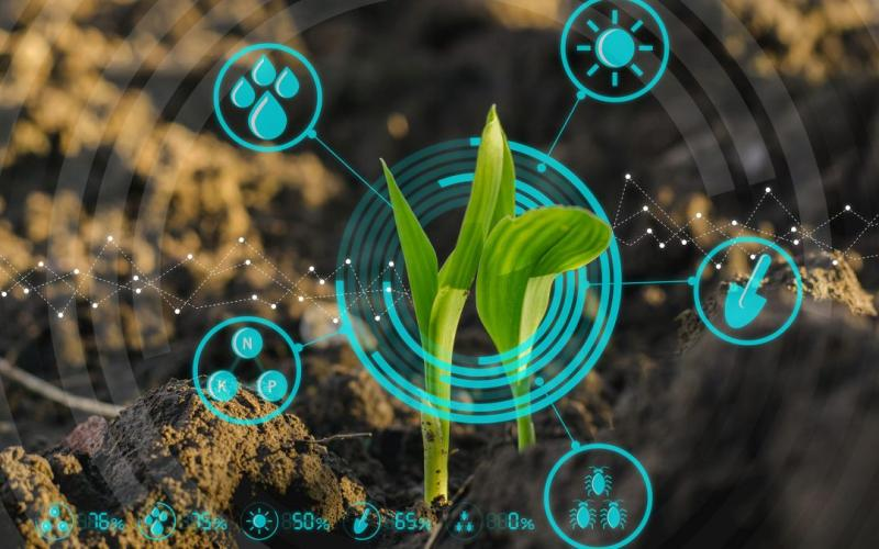 Fruit &amp; Vegetable Crop Protection Market