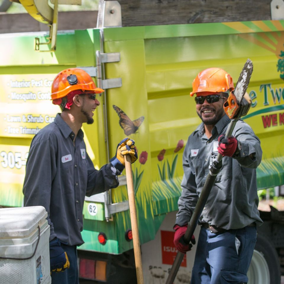 Pest Control Sunrise'