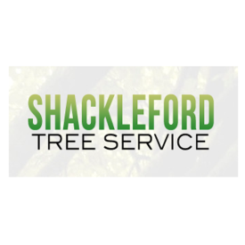 Company Logo For Shackleford Tree Service'