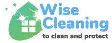 Wise Cleaning Australia Logo