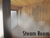 Steam bath or Steam rooms Market'