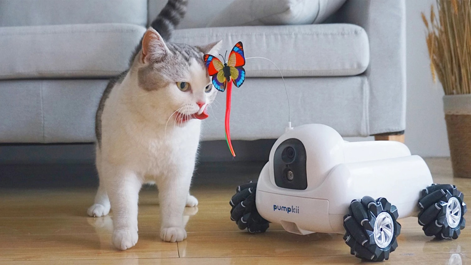 Robot Pet Care Market'