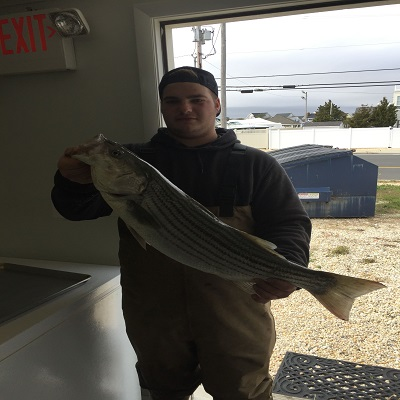 Tackle Shop'