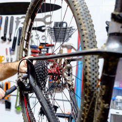 Bicycle Repair'