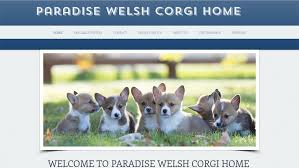 Company Logo For Paradise Welsh Corgi Home'