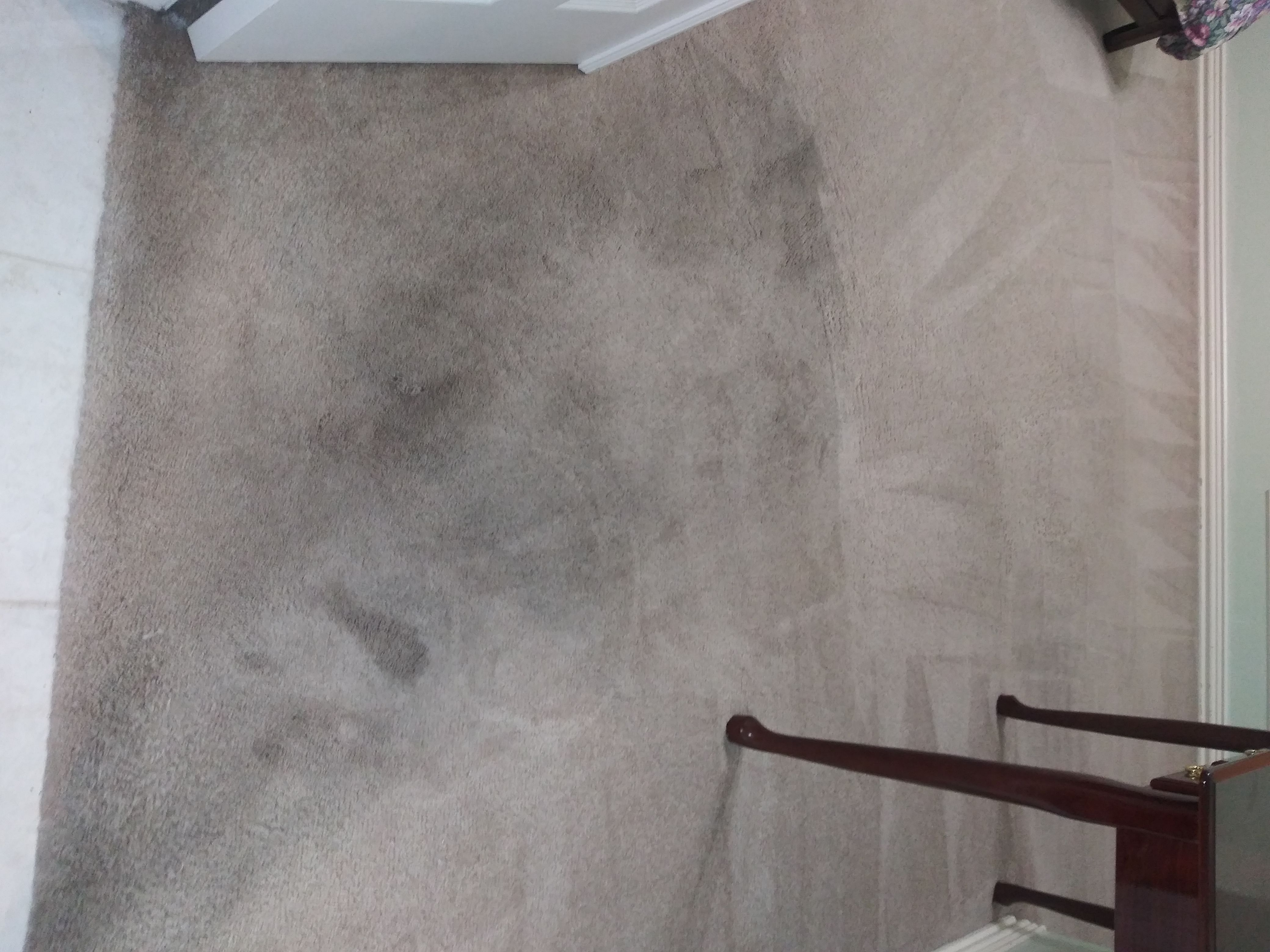 Carpet Cleaning'