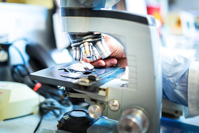 Veterinary Diagnostic Market