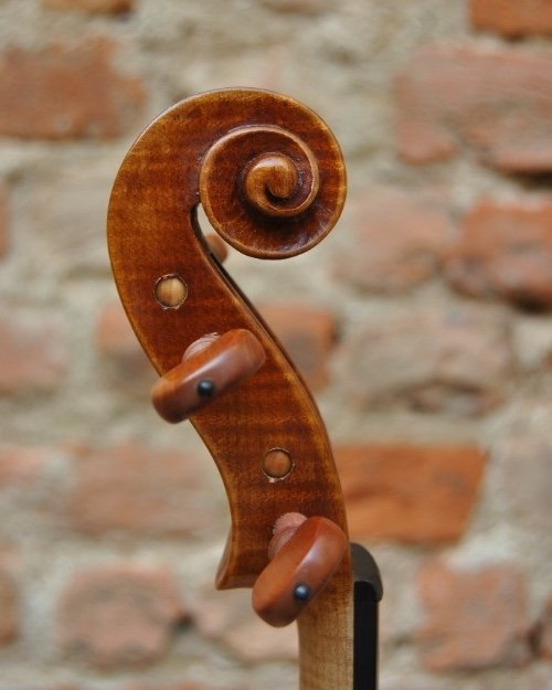 Violin'