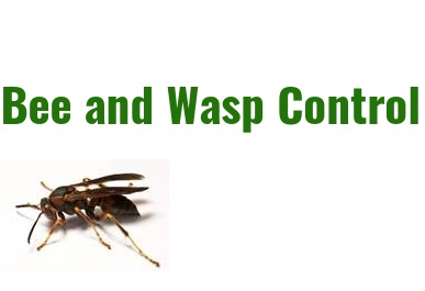 Company Logo For AAA Exterminating'