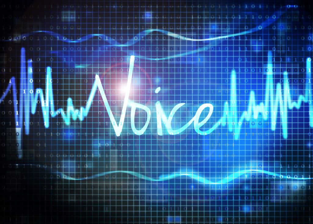 Voice Biometrics'