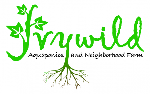 Company Logo For Ivywild Farm'