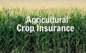 Agricultural Crop Insurance Market
