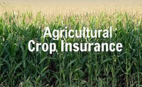 Agricultural Crop Insurance Market'