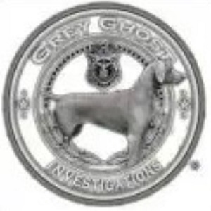 Company Logo For Grey Ghost Investigations - Private Investi'