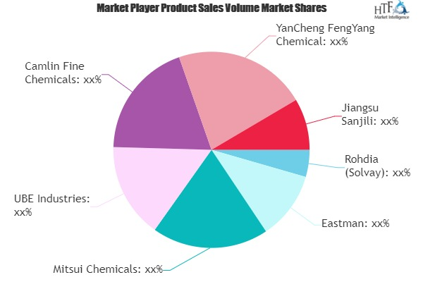 Hydroquinone Market'