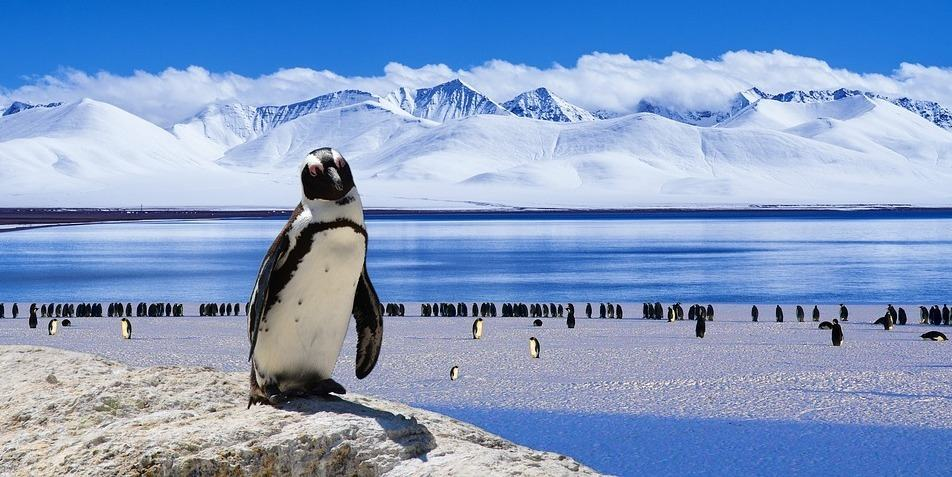 Antarctica Travel Market'