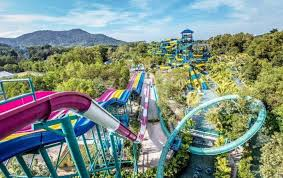 Theme Park Planning Market to See Huge Growth by 2025: ProSl
