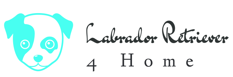 Labrador Retrievers 4 Home Logo