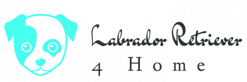 Company Logo For Labrador Retrievers 4 Home'