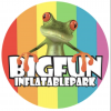 Company Logo For Big Fun Inflatable Park'