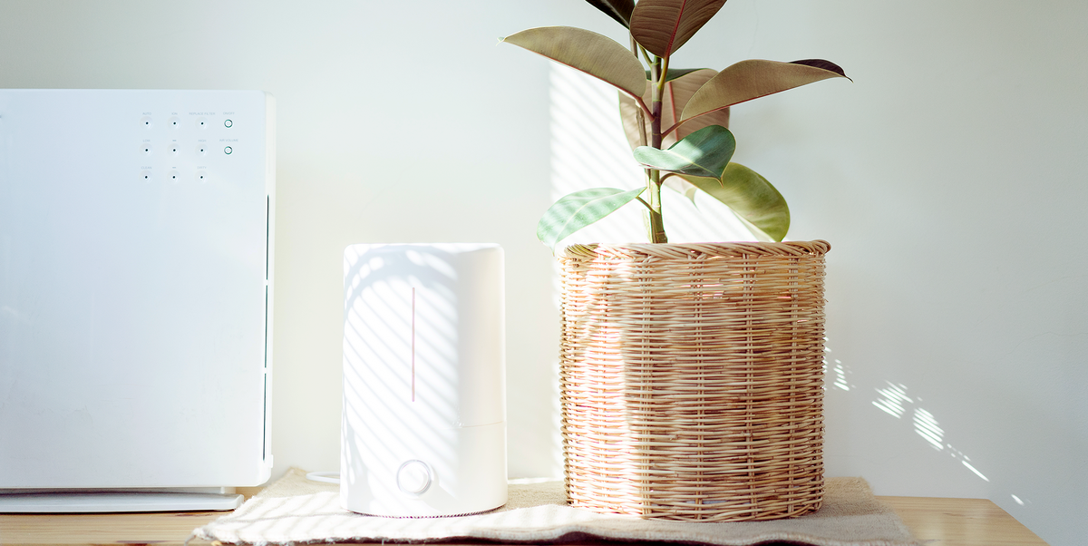 Indoor Air Purification'