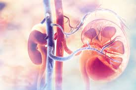 Kidney Cancer Drugs Market