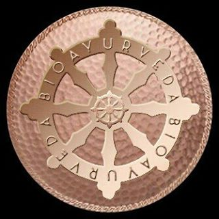 Company Logo For BIOAYURVEDA'