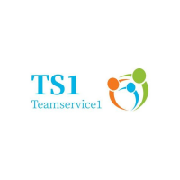 TS1 Insurance Logo