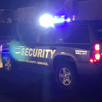 Company Logo For T.R.I.B.E. Security Service LLC'