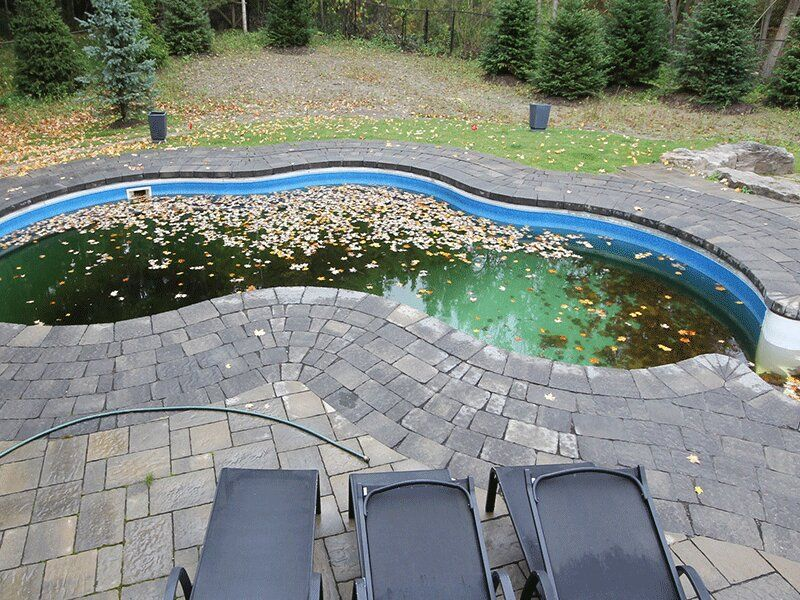 Company Logo For Professional Pool Builders Fairfax VA'