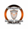 Company Logo For Alexandria Mobile Steam Car Detailing'