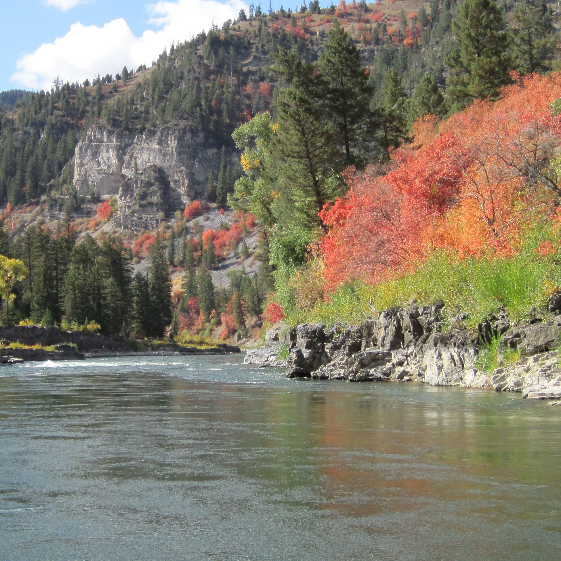 White Water Fishing'