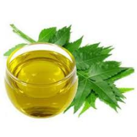 Neem Oil Market to See Huge Growth by 2026 : Margo, Agro Ext