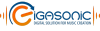 Company Logo For Gigasonic'