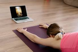 Online Fitness Services'