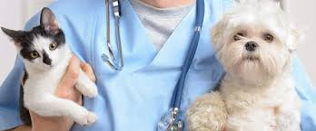 Animal Health Services Market'