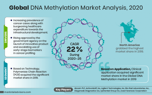 Global-DNA-Methylation-Market-Analysis,-2020'
