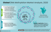 Global-DNA-Methylation-Market-Analysis,-2020