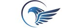 Company Logo For Blue Falcon Technologies - Professional TV'