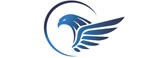 Company Logo For Blue Falcon Technologies - TV Installation'