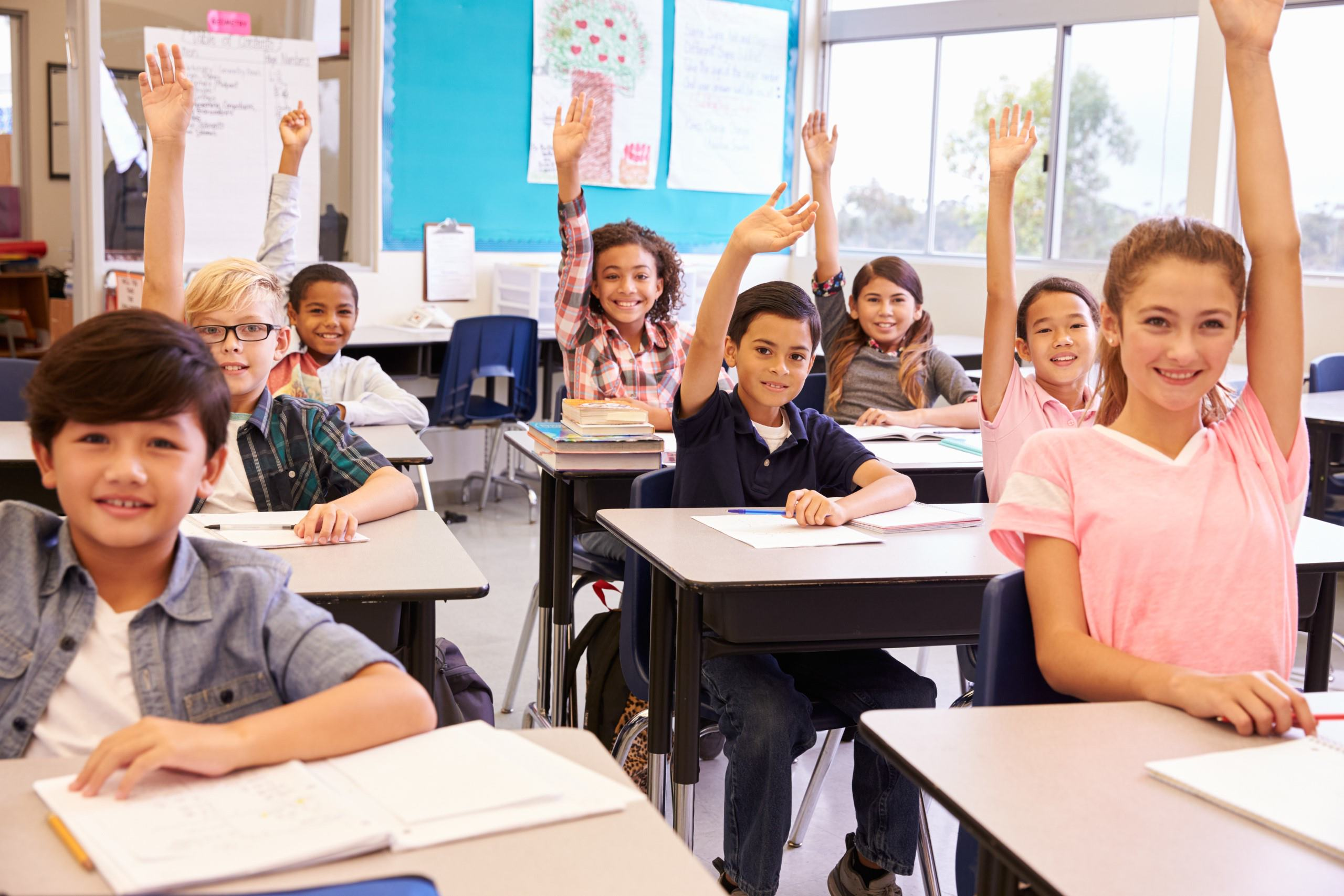 K-12 Student Information Systems'