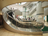 Curved Escalator Market
