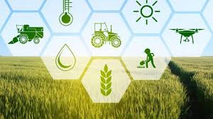 Agriculture Crop Insurance