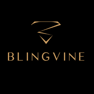 Company Logo For Blingvine India Private Limited'