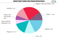 Vehicle Insurance Market Shaping from Growth to Value | Alli