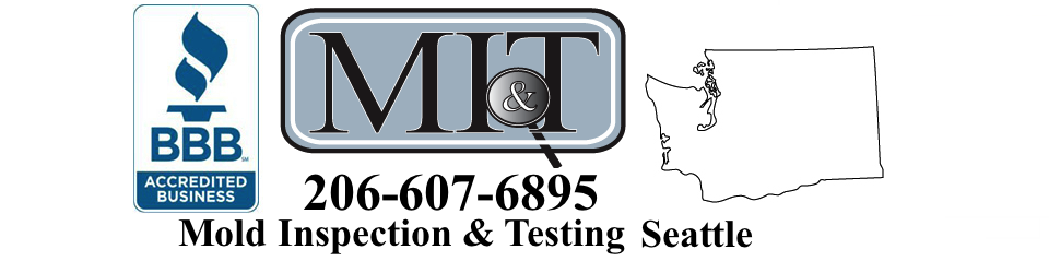 mold testing seattle
